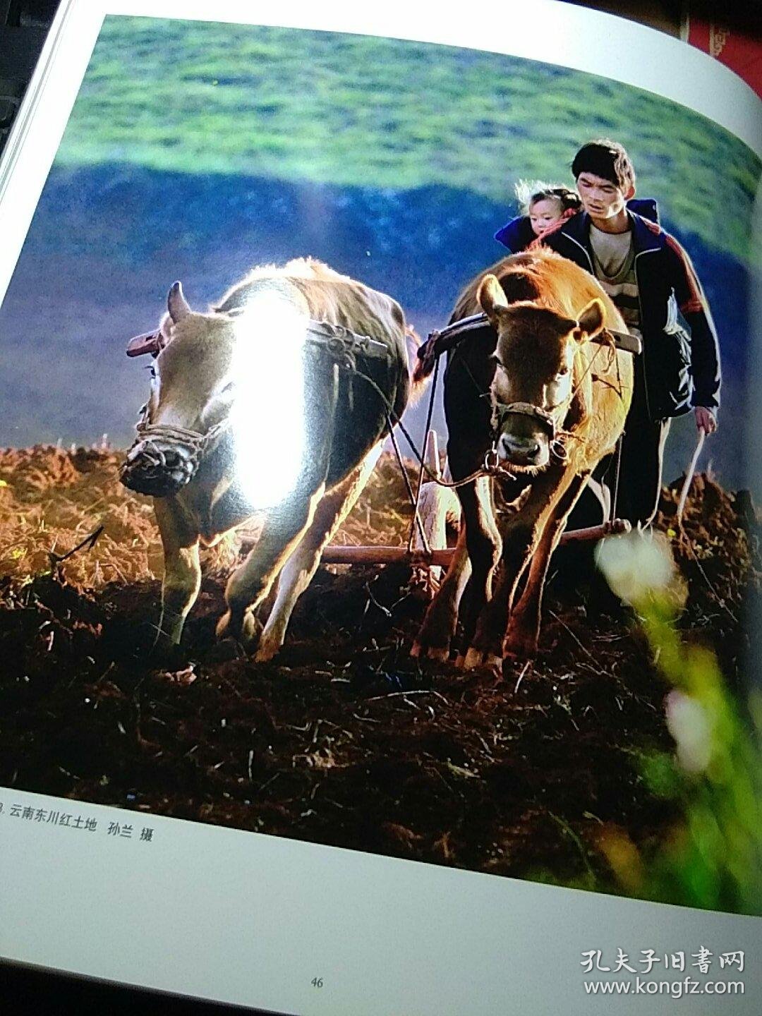 行摄酱酒杯第十一届(2026)上邦国际摄影大赛7月赛参赛作品选登(7月6日)(图1)