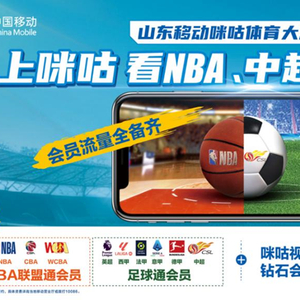 塞内加尔队(图1)